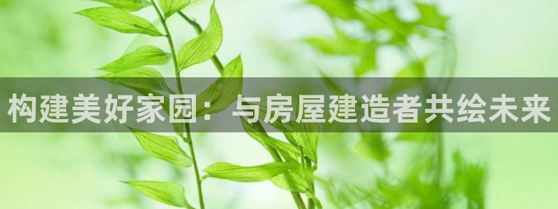 安信12平台最新消息：构建美好家园：与房屋建造者共绘未来