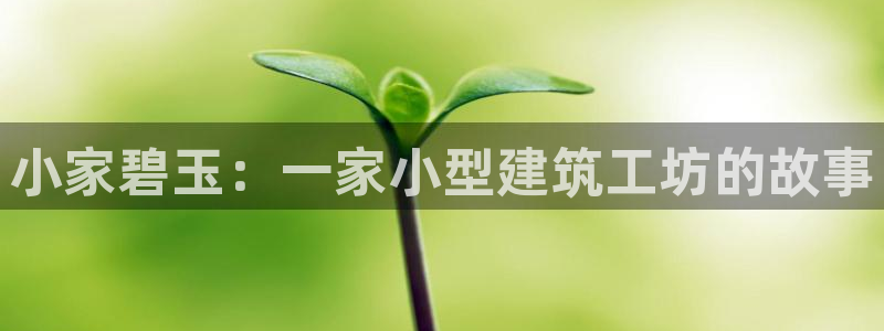 信安12：小家碧玉：一家小型建筑工坊的故事