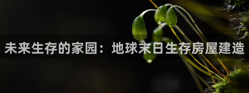 安信地板12mm：未来生存的家园：地球末日生存房屋建造