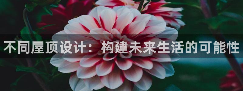 安信安赢12号：不同屋顶设计：构建未来生活的可能性
