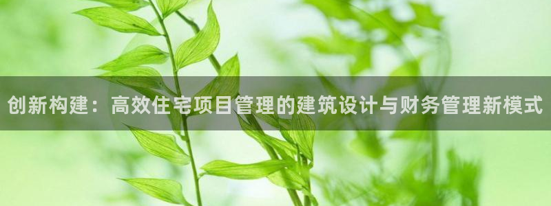 安信12真假：创新构建：高效住宅项目管理的建筑设计与财务管理新模式