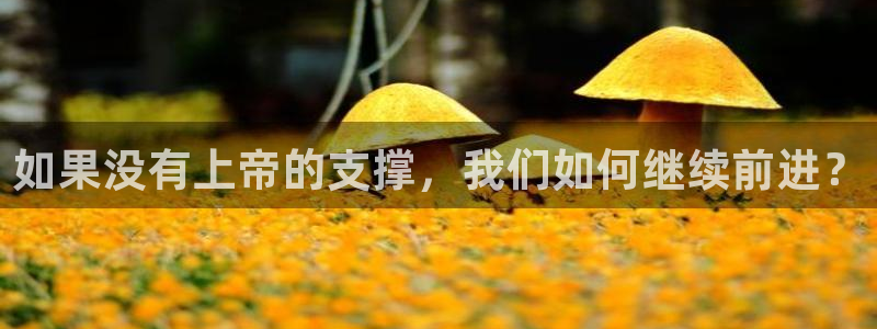 安信主管ke金12手12指ho