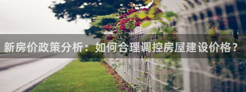 安信12是什么：新房价政策分析：如何合理调控房屋建设价格？