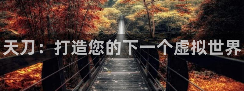 安信证券 12位：天刀：打造您的下一个虚拟世界