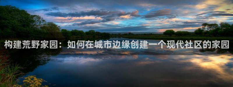安信122853179Z空间：构建荒野家园：如何在城市边缘创建一个现代社区的家园