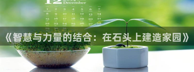 安信可12f：《智慧与力量的结合：在石头上建造家园》