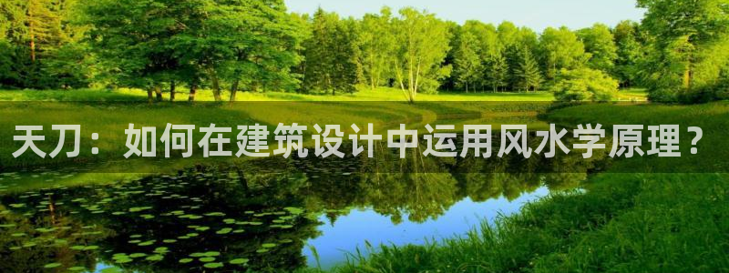 安信12包赔