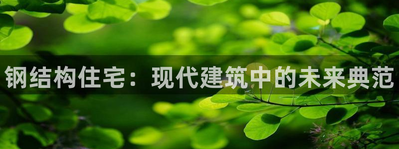 安信12是正规还是仿：钢结构住宅：现代建筑中的未来典范