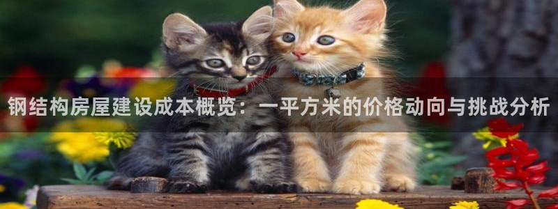安信12注册登录：钢结构房屋建设成本概览：一平方米的价格动向与挑战分析