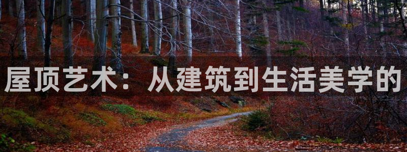 安信12级：屋顶艺术：从建筑到生活美学的