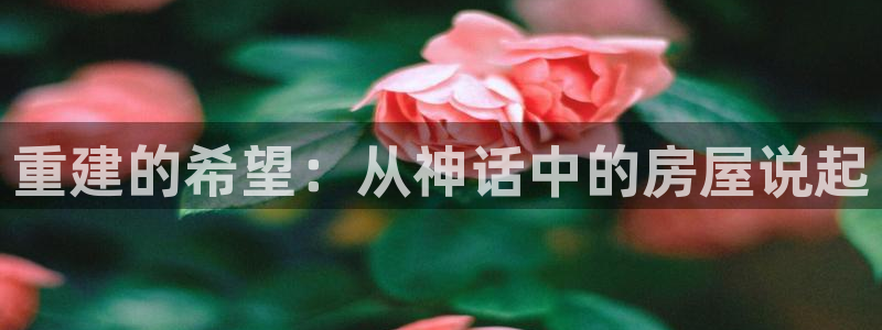 安信12靠谱吗：重建的希望：从神话中的房屋说起