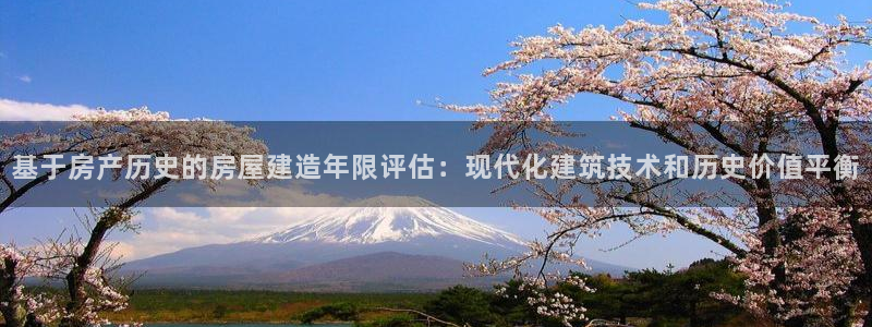 安信地板12mm：基于房产历史的房屋建造年限评估：现代化建筑技术和历史价值平衡
