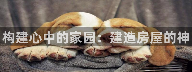 安信12开户：构建心中的家园：建造房屋的神