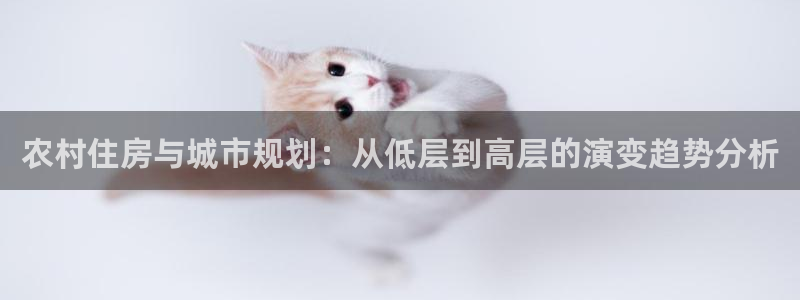 安信12彩票app下载