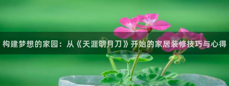 安信12注册咋7O777：构建梦想的家园：从《天涯明月刀》开始的家居装修技巧与心得
