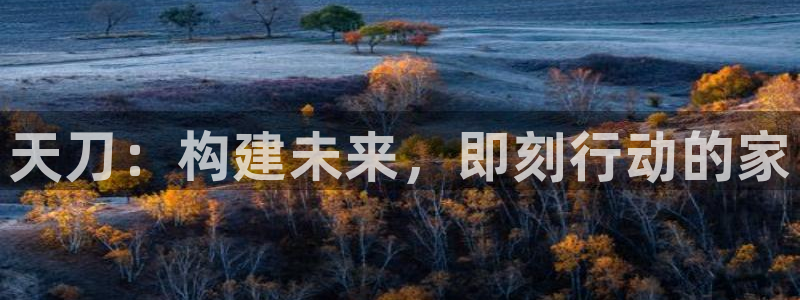 安信证券 12位：天刀：构建未来，即刻行动的家