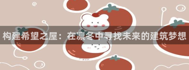 安信12位数资金号：构建希望之屋：在凛冬中寻找未来的建筑梦想