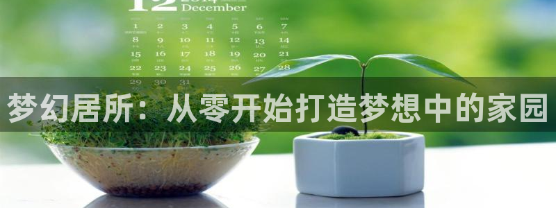 安信cw12系列：梦幻居所：从零开始打造梦想中的家园