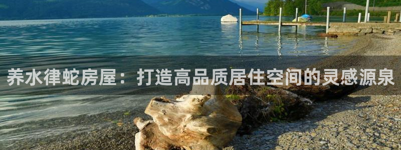 安信122853179Z空间：养水律蛇房屋：打造高品质居住空间的灵感源泉