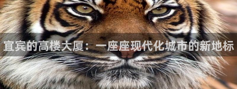 安信12下载：宜宾的高楼大厦：一座座现代化城市的新地标