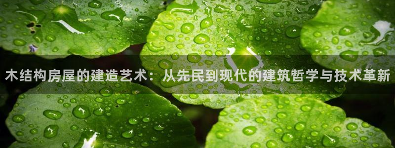 安信12平台注册：木结构房屋的建造艺术：从先民到现代的建筑哲学与技术革新