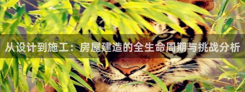 安信证券 12位：从设计到施工：房屋建造的全生命周期与挑战分析