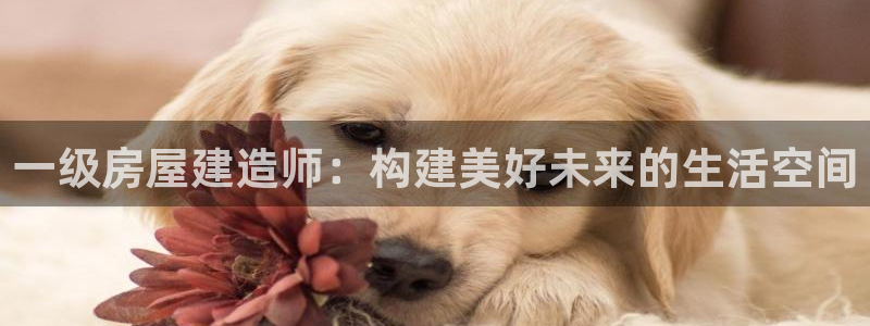 如何注销安信12软件