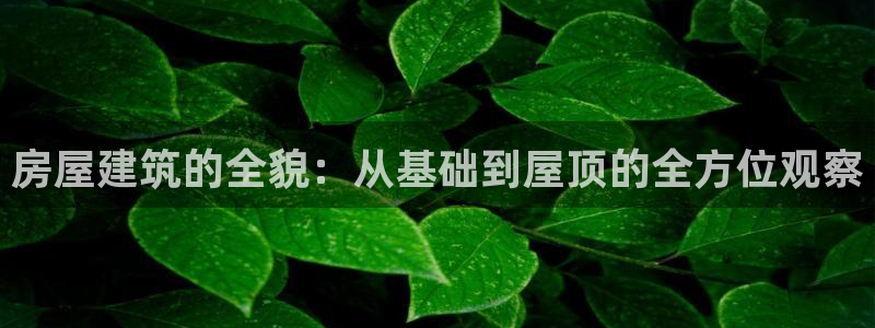 安信12主管：房屋建筑的全貌：从基础到屋顶的全方位观察