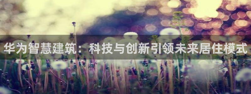 安信12是正规平台吗