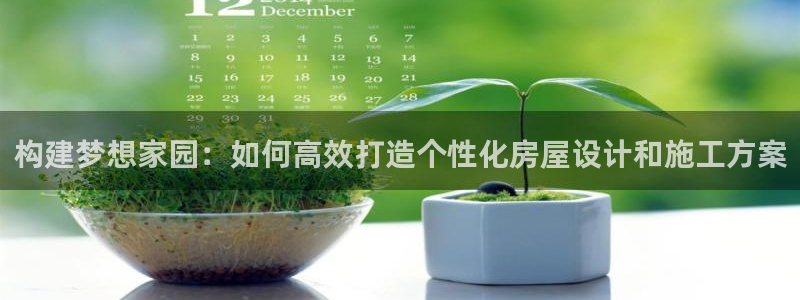 信安杯12：构建梦想家园：如何高效打造个性化房屋设计和施工方案
