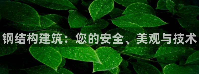 安信12注册登录平台：钢结构建筑：您的安全、美观与技术