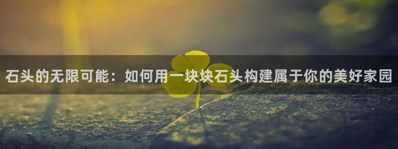 安信12级大众：石头的无限可能：如何用一块块石头构建属于你的美好家园
