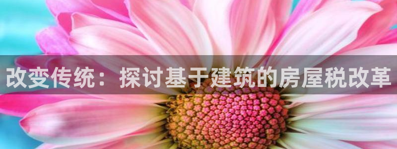 安信12包赔：改变传统：探讨基于建筑的房屋税改革