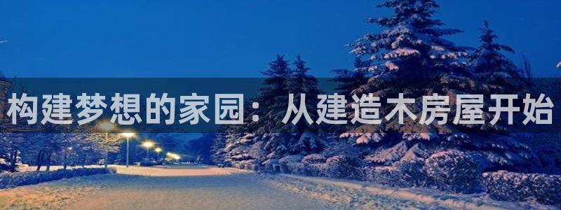 安信12app下载：构建梦想的家园：从建造木房屋开始