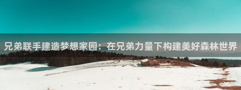 安信12娱乐：兄弟联手建造梦想家园：在兄弟力量下构建美好森林世界