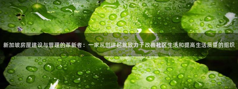 安信4特邀55 12