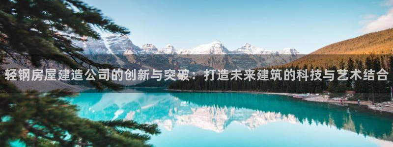 安信12是做什么：轻钢房屋建造公司的创新与突破：打造未来建筑的科技与艺术结合