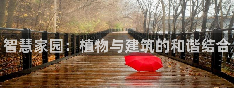 安信卓越12月：智慧家园：植物与建筑的和谐结合