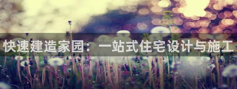 安信12挂机：快速建造家园：一站式住宅设计与施工
