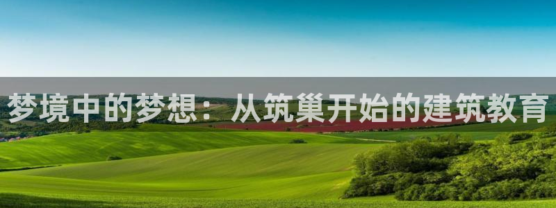 安信12真假