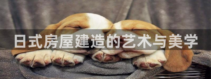 安信12专用挂机