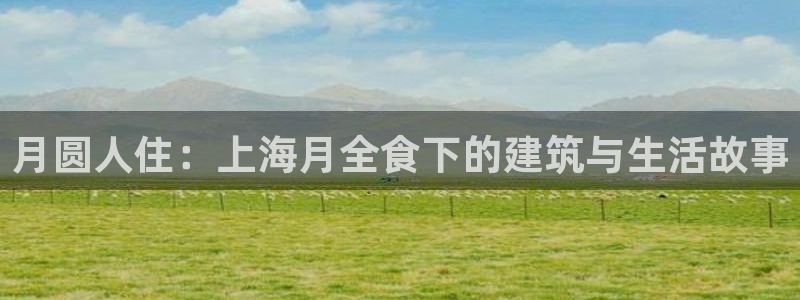 安信12主管