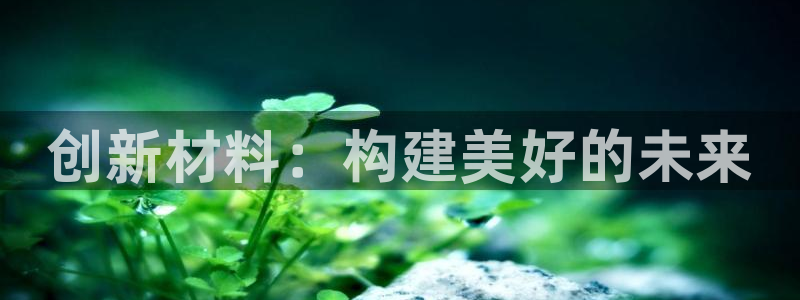 安信12网页版