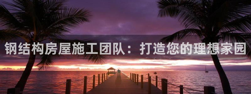 安信12是啥：钢结构房屋施工团队：打造您的理想家园