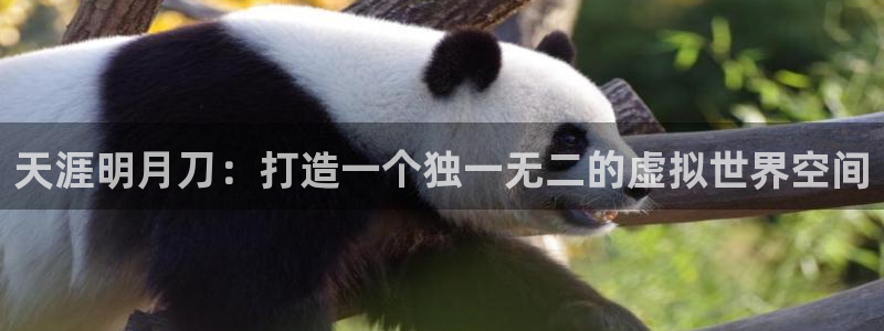 安信12赛车：天涯明月刀：打造一个独一无二的虚拟世界空间