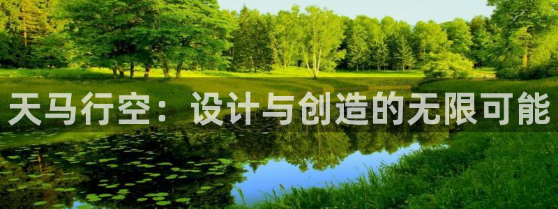 安信锐赢134号12月：天马行空：设计与创造的无限可能