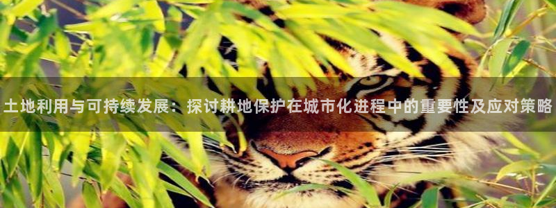 安信12是什么软件：土地利用与可持续发展：探讨耕地保护在城市化进程中的重要性及应对策略
