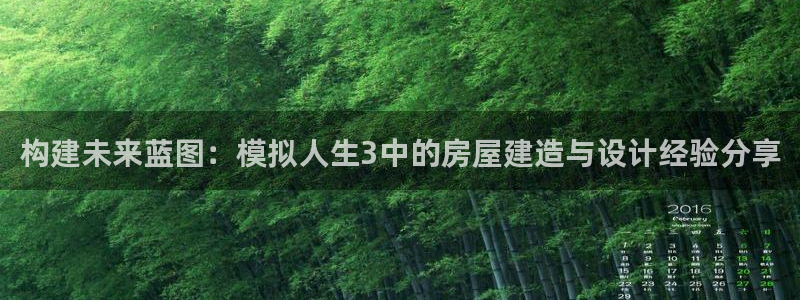安信证券手机壳12：构建未来蓝图：模拟人生3中的房屋建造与设计经验分享