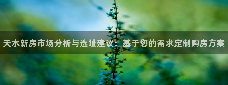 安信12怎么下载：天水新房市场分析与选址建议：基于您的需求定制购房方案