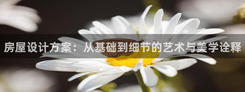 安信esp12：房屋设计方案：从基础到细节的艺术与美学诠释